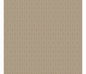 Обои Loymina Amber salon AS3 012
