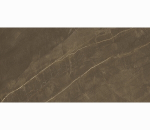 Керамическая плитка Сolori Viva Splendida Armani Brown Glossy 120 x 60 см CV20162