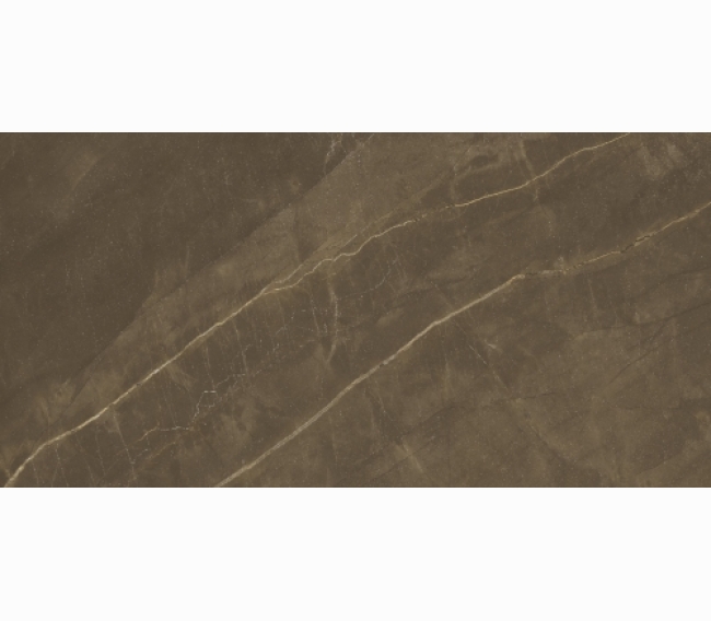Керамическая плитка Сolori Viva Splendida Armani Brown Glossy 120 x 60 см CV20162