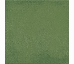 Керамическая плитка Vives 1900 - Verde 20x20