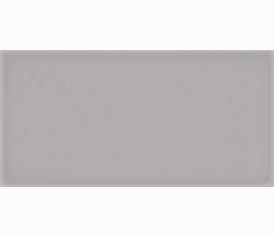 Керамическая плитка Vives Ceramica Corso Gris 10x20