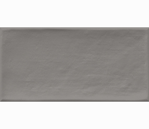 Керамическая плитка Vives Ceramica Etnia Gris 10x20