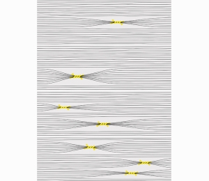 Керамическая плитка Vives Ceramica Otomi-4 25x75