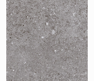 Керамическая плитка Vives Ceramica Nassau Grafito 20x20