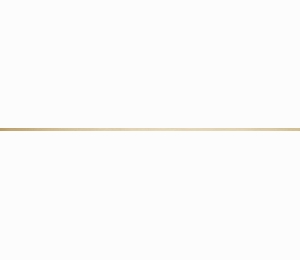 Керамическая плитка Vives Ceramica Gold Line Mate 1x100