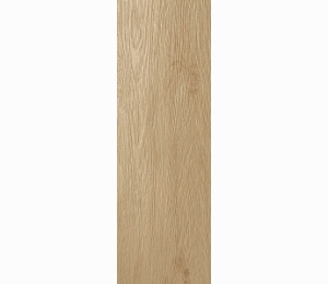 Керамогранит ATLAS CONCORDE RUSSIA FRAME Cognac Lappato 19,5x59 см 610015000139