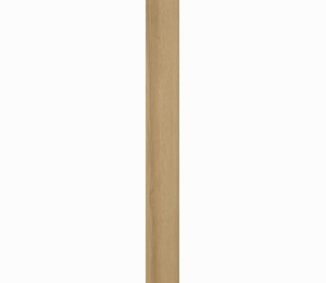Керамогранит ATLAS CONCORDE RUSSIA FRAME Cognac Ret 20x120 см 610010001671