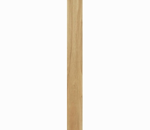 Керамогранит ATLAS CONCORDE RUSSIA FRAME Honey Ret 20x120 см 610010001672