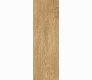 Керамогранит ATLAS CONCORDE RUSSIA FRAME Honey 19,5x59 см 610010000490