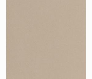 Керамогранит Imola Parade PRTU 120B RM 120x120cm