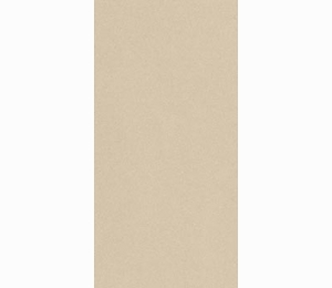 Керамогранит Imola Parade PRTU 12A RM 60x120cm