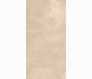 Керамогранит Imola Genus GNSG 12B RM 60x120cm