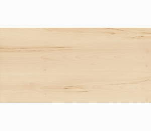 Керамогранит Italon Element Acero 60x120 610010001079