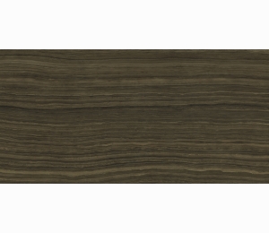 Керамогранит Italon Surface Earamosa Lux 60x120 610015000386