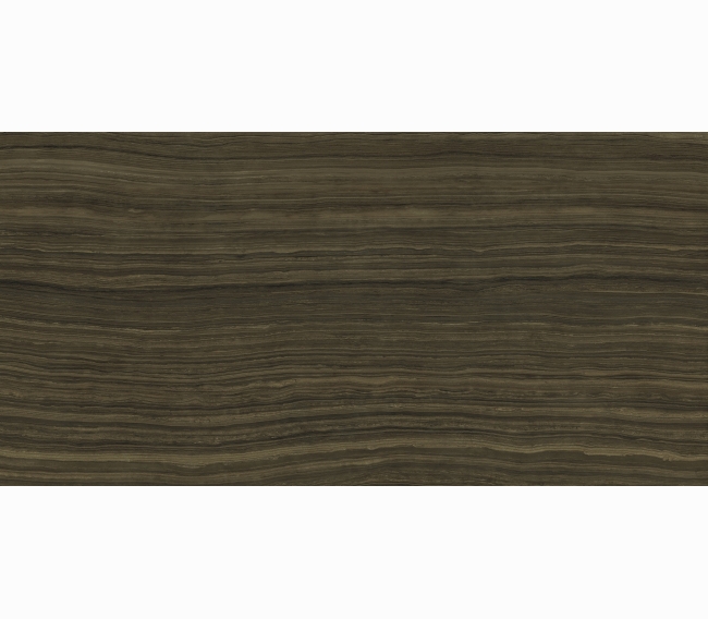 Керамогранит Italon Surface Earamosa Lux 60x120 610015000386