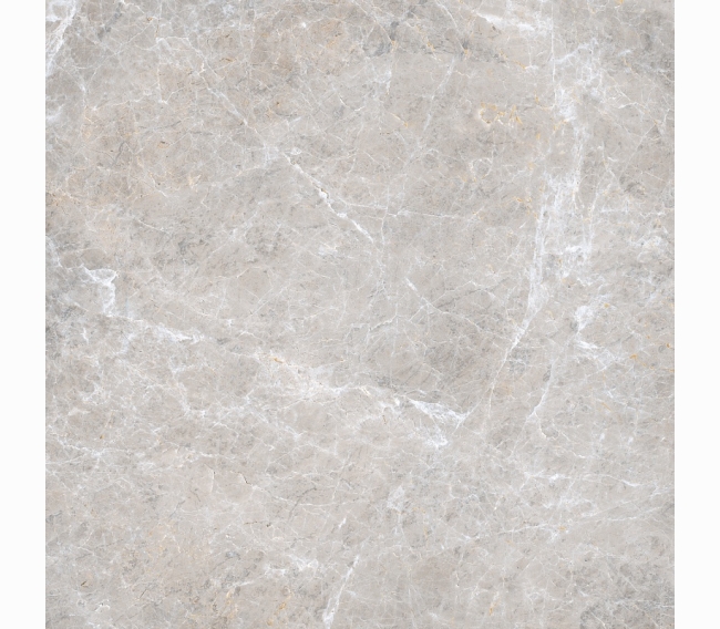 Керамогранит Italon Elite Silver Grey Lux 59x59 610015000170