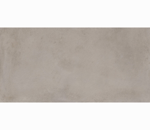 Керамогранит Italon Millennium Iron Nat 80x160 610010001650