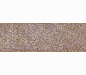 Керамогранит WOW LOVE AFFAIRS Accent Beige Raku 3,7x10 см 116957