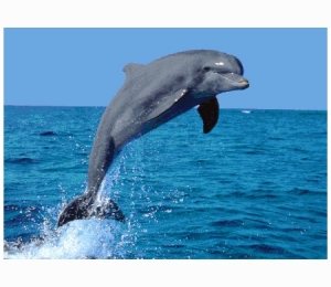 Панно из мозаики Orro Mosaic подводный мир UN-23
