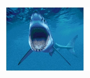 Панно из мозаики Orro Mosaic подводный мир UN-34