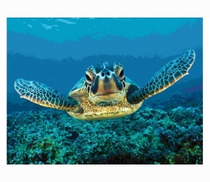 Панно из мозаики Orro Mosaic подводный мир UN-29