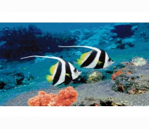 Панно из мозаики Orro Mosaic подводный мир UN-12