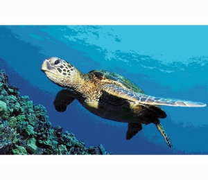 Панно из мозаики Orro Mosaic подводный мир UN-30