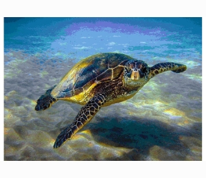 Панно из мозаики Orro Mosaic подводный мир UN-26