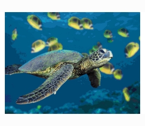 Панно из мозаики Orro Mosaic подводный мир UN-19