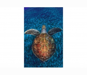 Панно из мозаики Orro Mosaic подводный мир UN-27