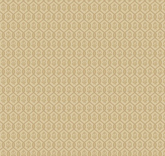 Обои Loymina Amber salon AS3 004/1