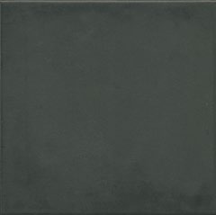 Керамическая плитка Vives 1900 - Basalto 20x20