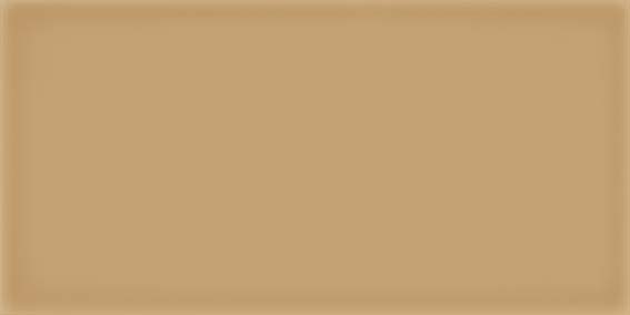 Керамическая плитка Vives Ceramica Corso Caramelo 10x20