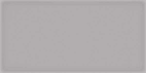 Керамическая плитка Vives Ceramica Corso Gris 10x20