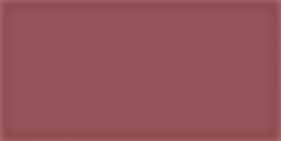 Керамическая плитка Vives Ceramica Corso Burdeos 10x20