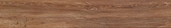 Керамогранит Imola Wood WOOD 161R 16.5x100cm