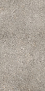 Керамогранит Imola Walk WLKR 36G 30x60cm
