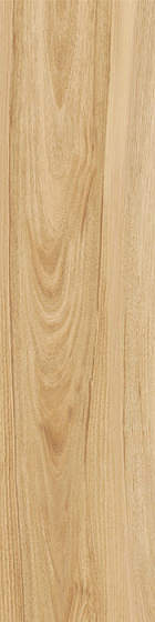 Керамогранит ITALON MAISON Champagne 30x120 см 610010000815